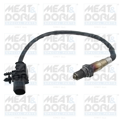 Oxygen Sensor